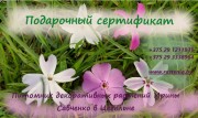 Подарочный сертификат
