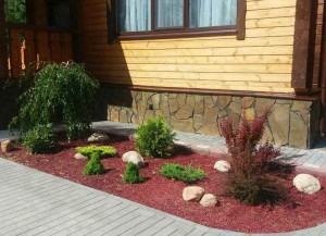 1. В саду у Марины.