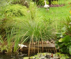 После дождя.